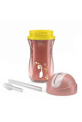 Chicco SPOR BARDAK PİPETLİ 14 AY+ KIZ YENI - 3