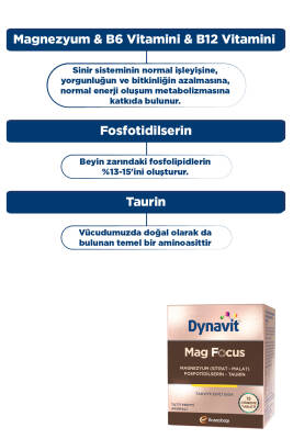 Dynavit Mag Focus 15 Çiğneme Tab - Magnezyum Malat & Sitrat, Fosfotidilserin, B6 & B12 Vitamini - Odaklanma - 7