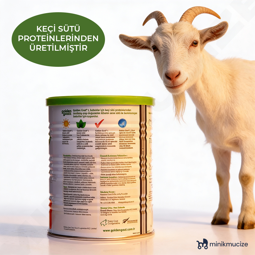 Golden Goat 1 Keçi Sütü Bazlı Bebek Sütü 400 gr - 2