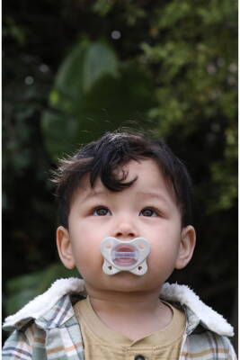 Physioforma Dual Soft Kız 2-6 Ay 2'li - 8